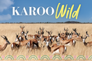 The Karoo Wild Story