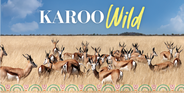 The Karoo Wild Story