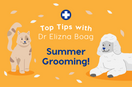 Summer Grooming: Top Five Tips with Dr. Elizna