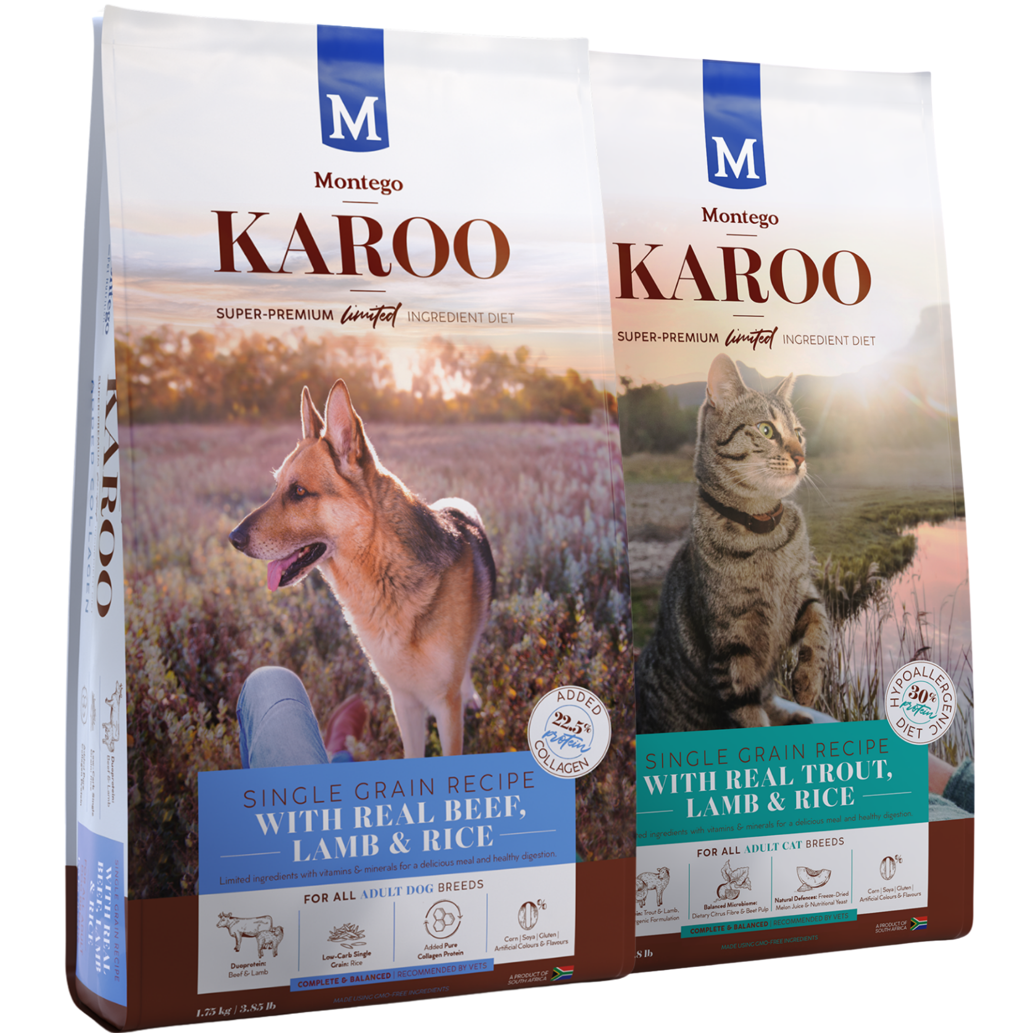 Karoo