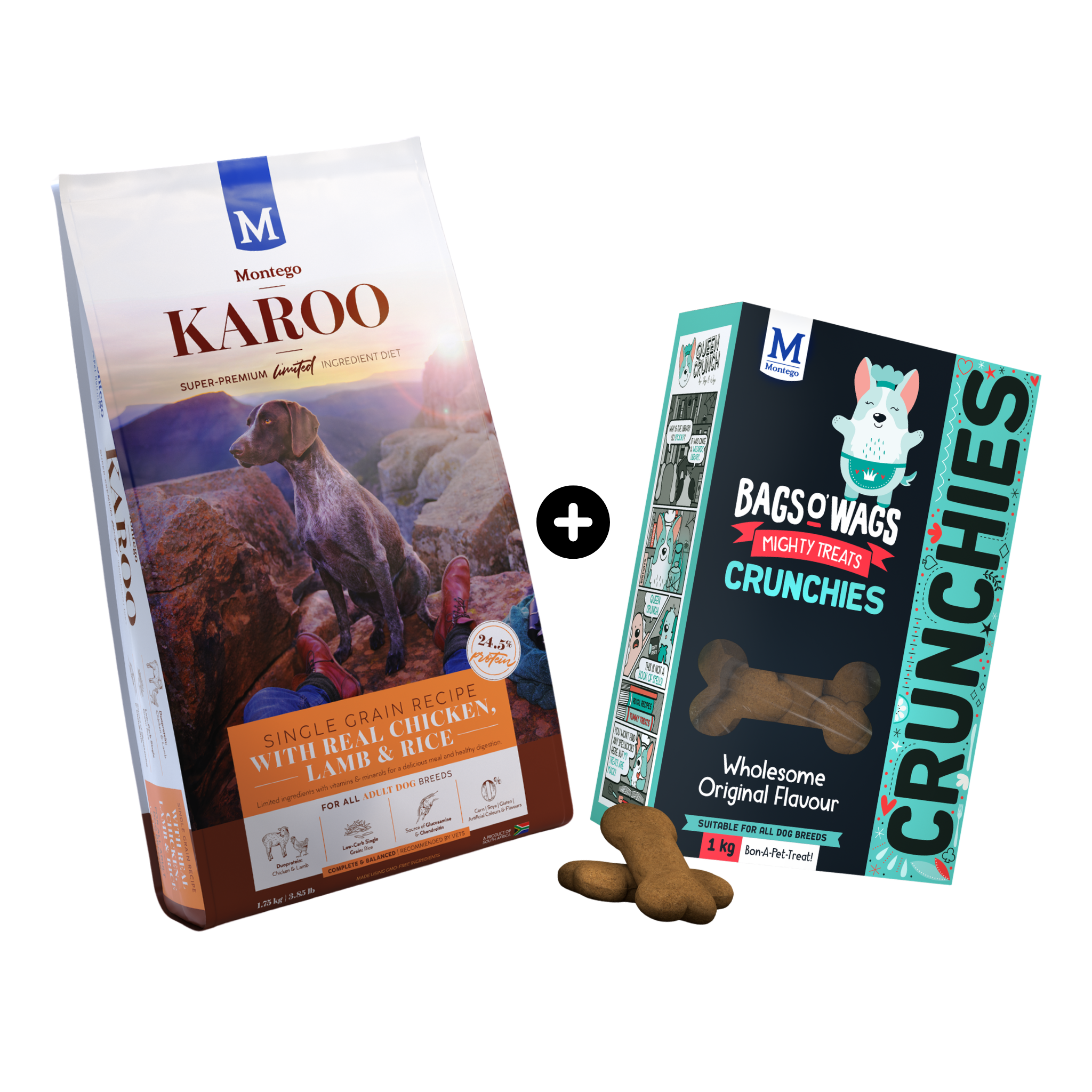 Dog Welcome Bundle